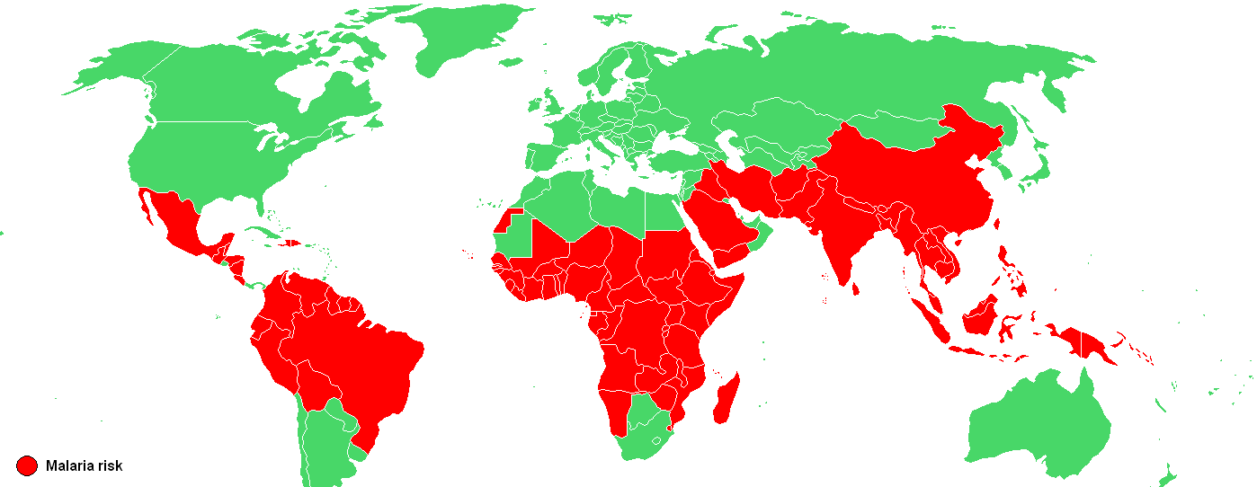 Malaria | Travel Clinic London | Fleet Street Clinic